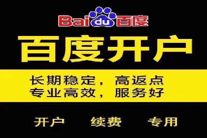 整合SEO与SEM，打造品牌营销新模式——案例研究